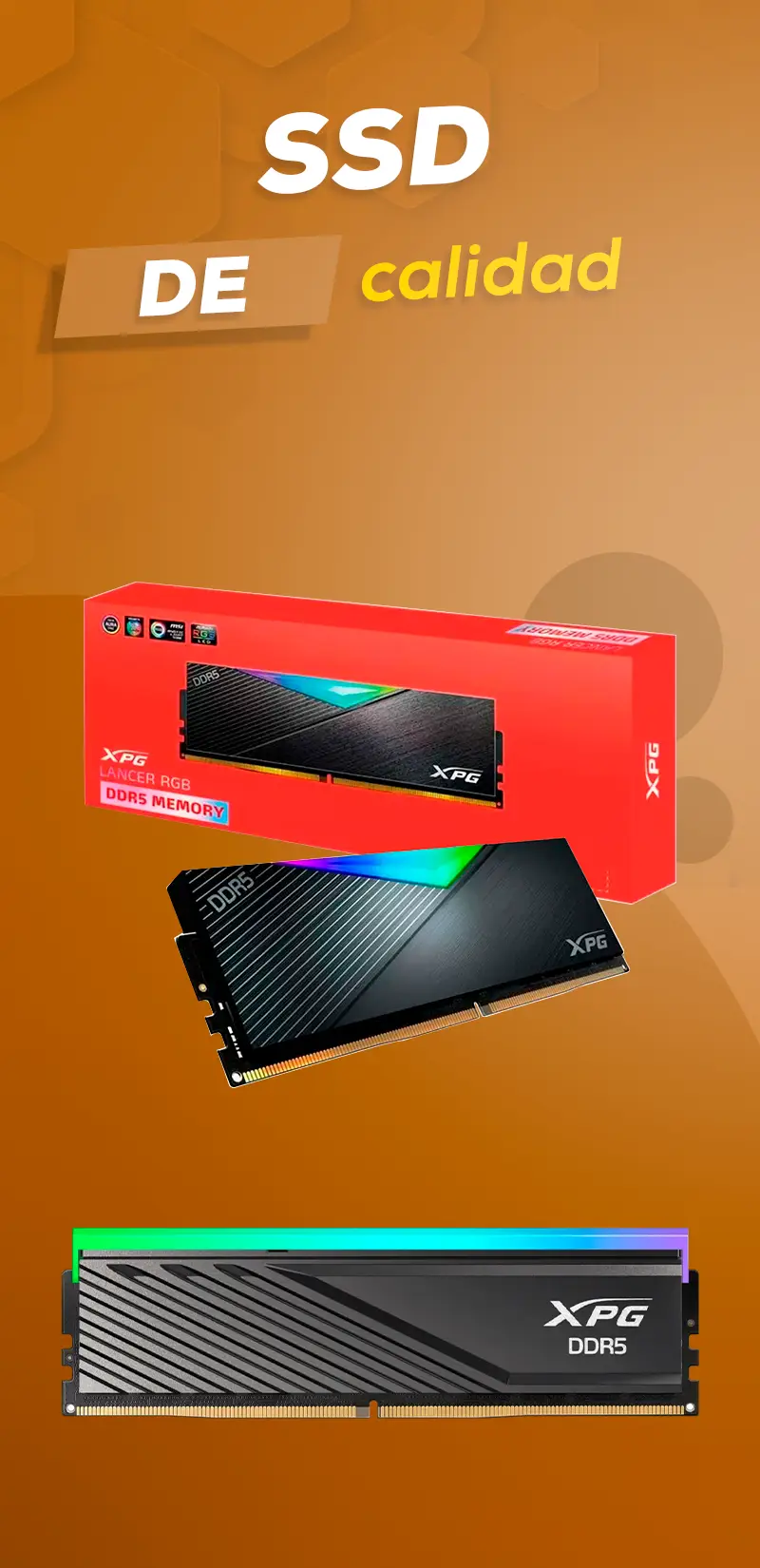 SSD de calidad velocidad y durabilidad garantizada